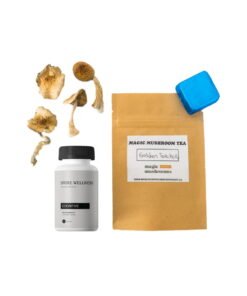 Erstes Timer Magic Mushroom Kit: Psychologie 101