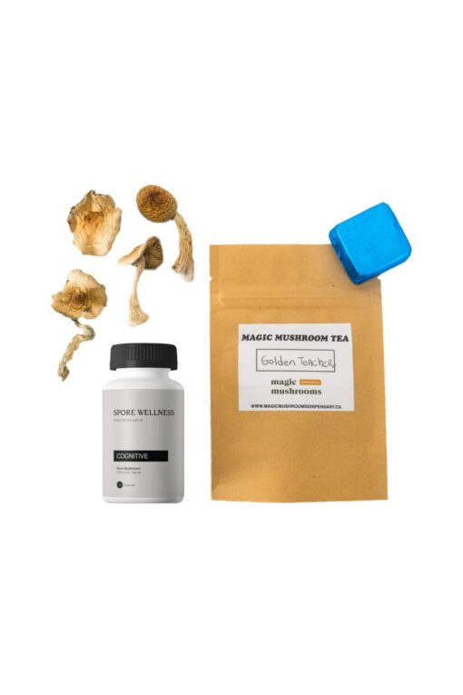 Erstes Timer Magic Mushroom Kit: Psychologie 101