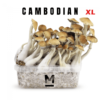 Magic Mushroom Grow Kit Cambodia XL von Mondo®