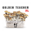 Magic Mushroom Grow Kit Golden Teacher von Mondo®