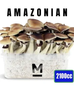 Magic Mushroom Grow Kit PES Amazonian XL von Mondo®