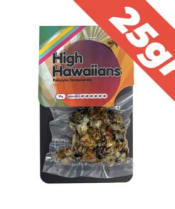 Magic Truffles High Hawaiians