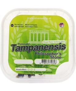 Magic truffles Tampanensis