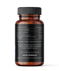 Shafaa Evolve Magic Mushroom Microdosing Balance Blend Kapseln