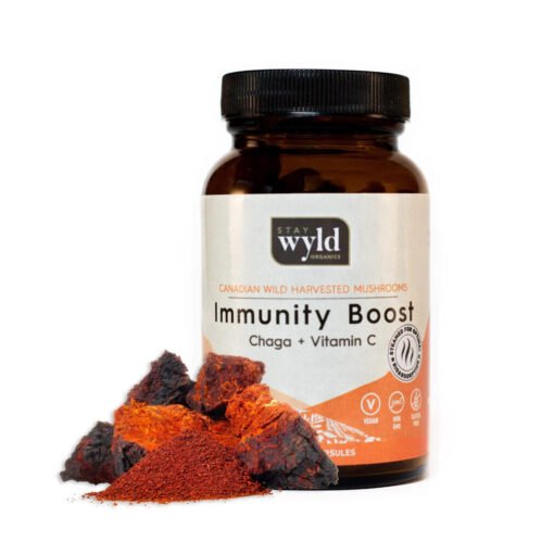 Stay Wyld Organics – Chaga Immunity Boost Pilzkapseln (Flasche mit 60 Stück)