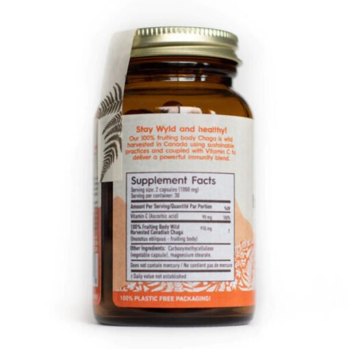 Stay Wyld Organics – Chaga Immunity Boost Pilzkapseln (Flasche mit 60 Stück)