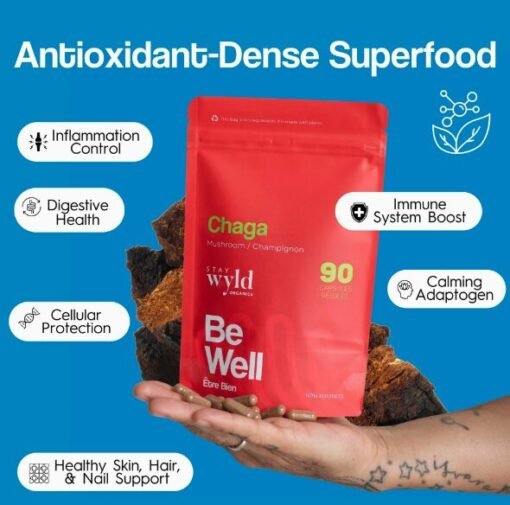 Stay Wyld Organics – Chaga-Pilz-Kapseln (Beutel mit 90 Stück)